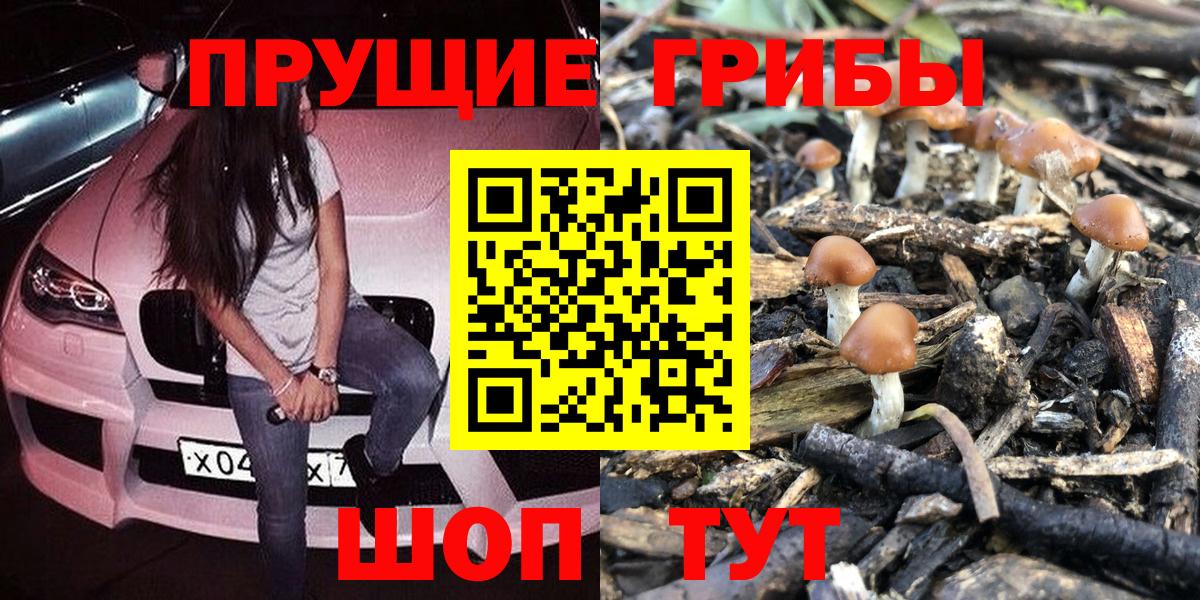 Псилоцибиновые грибы Psilocybe  Вход с VPN  Галлюциногенные грибы прущие грибы  Чайковский 