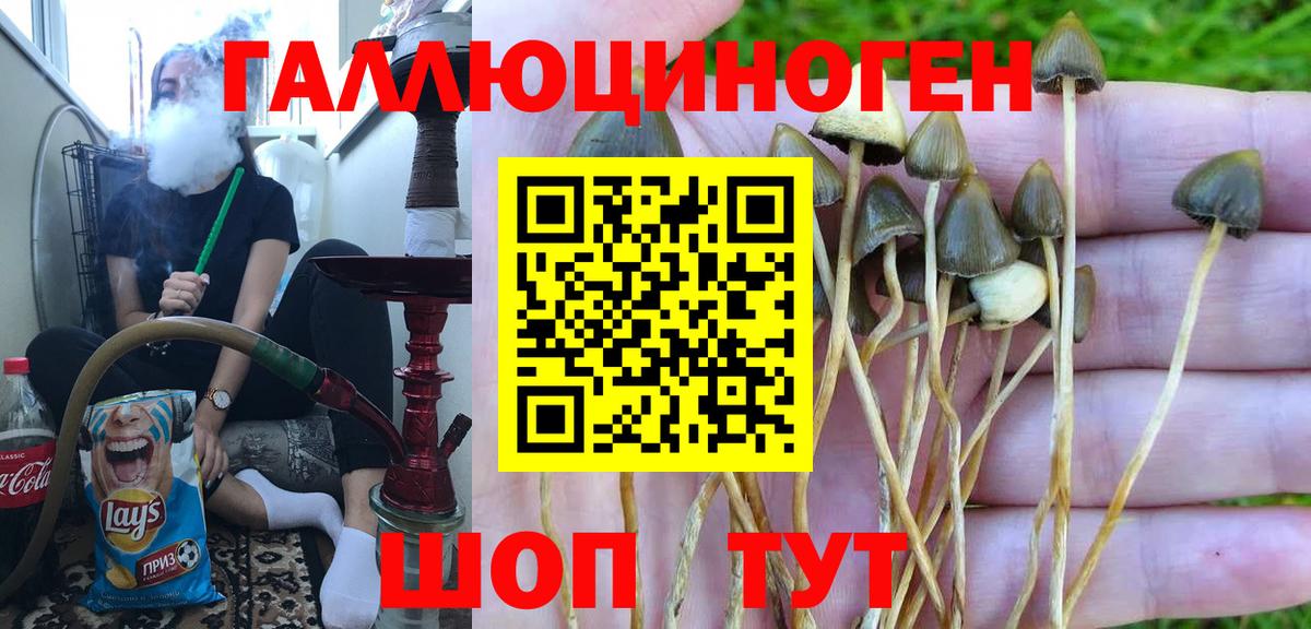 Псилоцибиновые грибы Magic Shrooms Чайковский